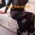 İzmirli Escort İstanbuldaa - Image 4 İzmirli Escort İstanbuldaa - Image 4